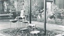 1970s RNCM roof garden 2