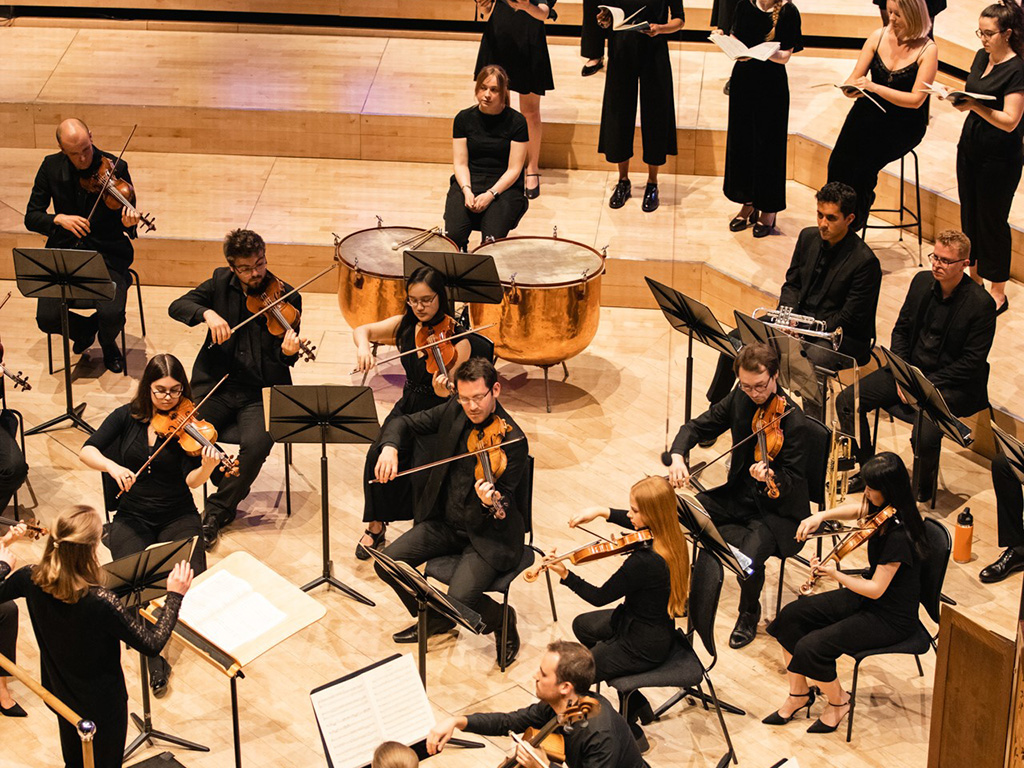 An orchestra performs. 