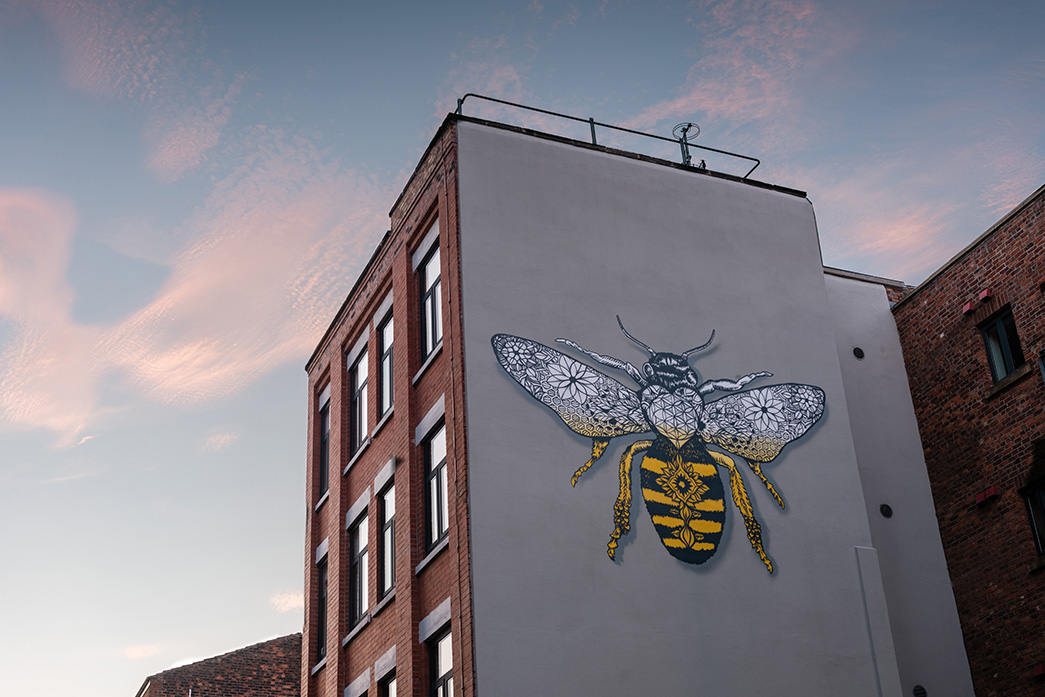 Manchester bee