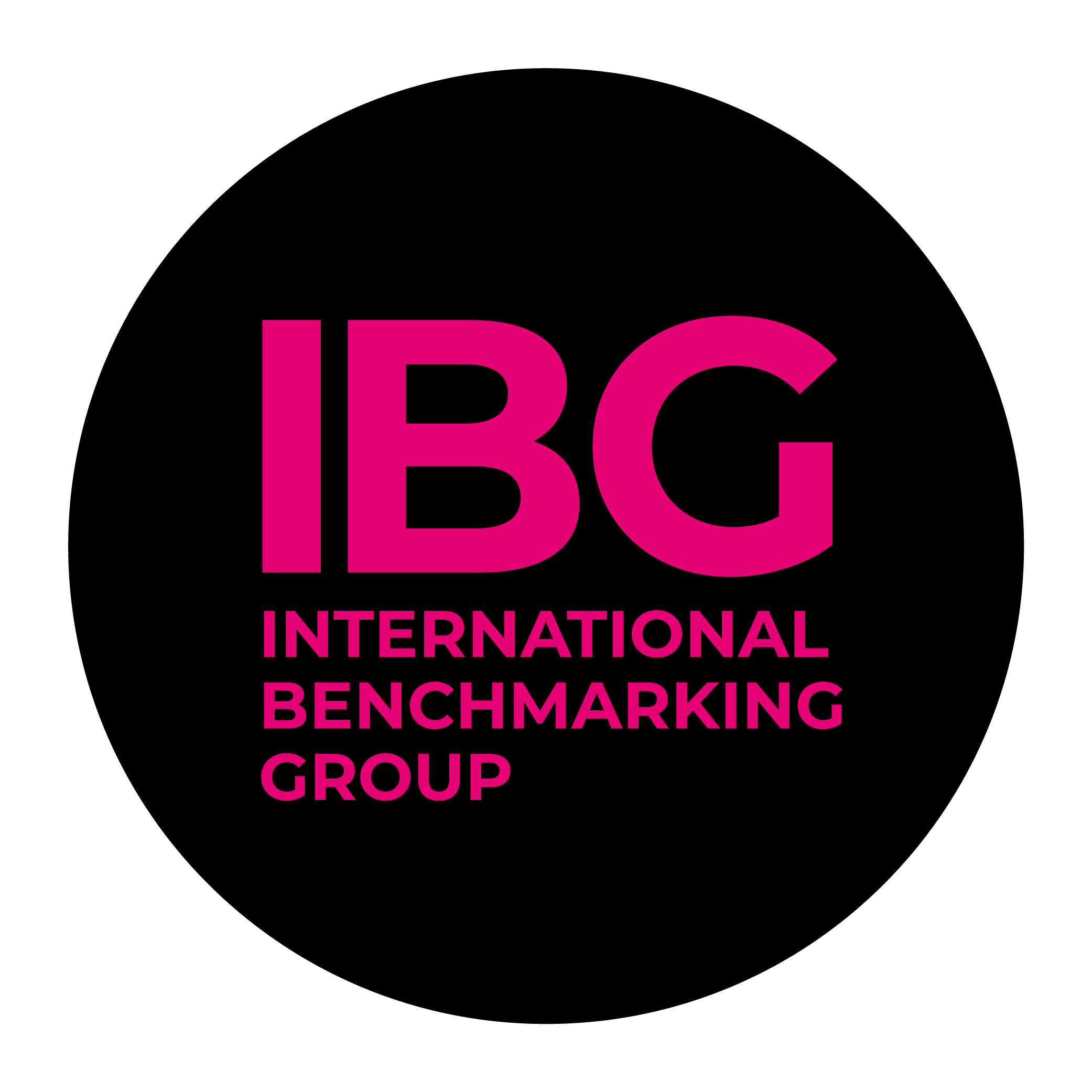 International Benchmarking Group logo.
