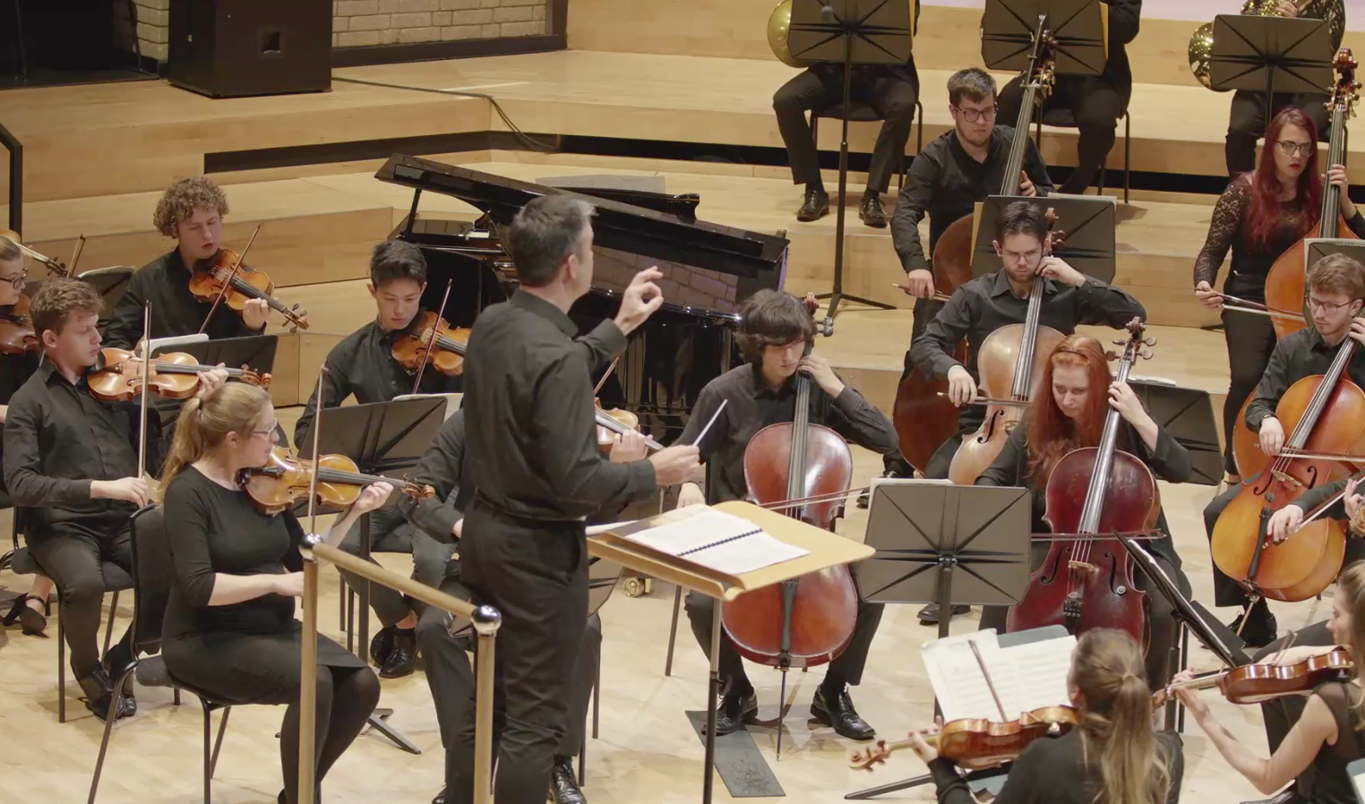 A conductor conducts a string orchestra. 