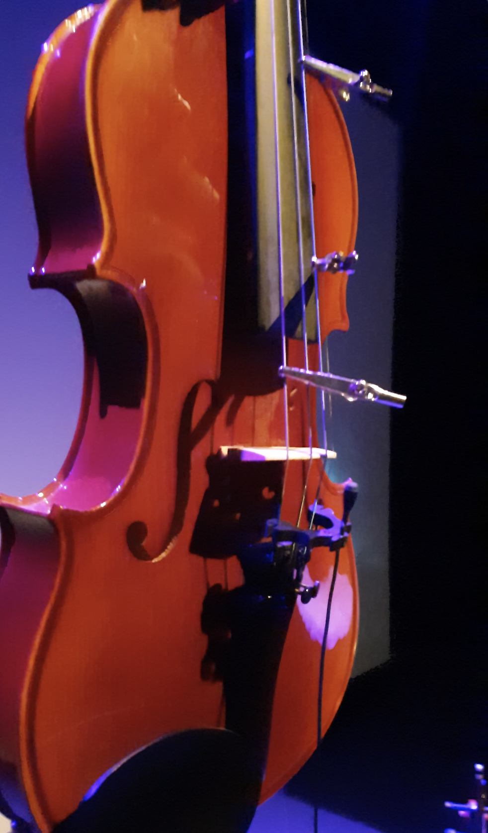 A violin